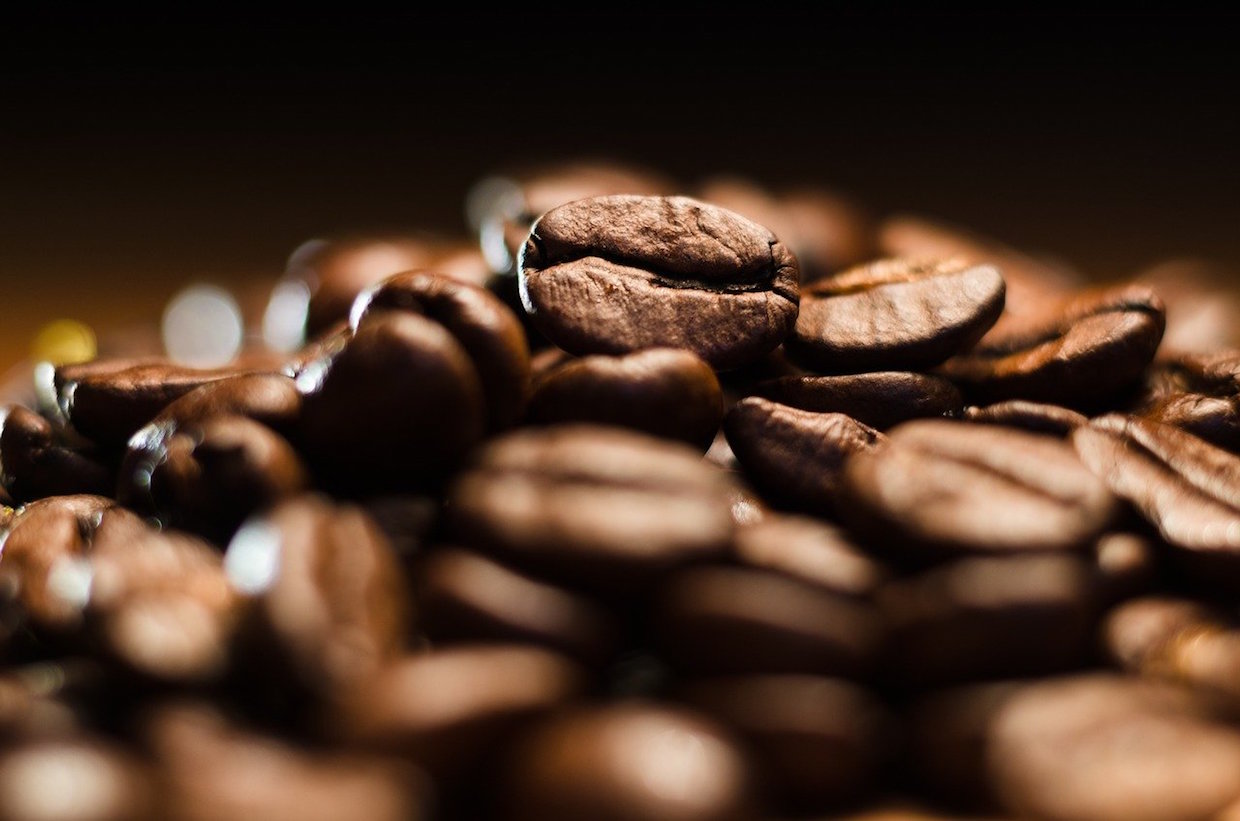 kopi panggang